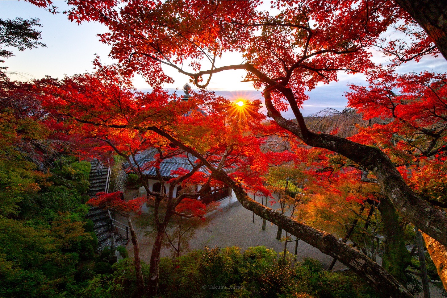 f:id:Shotetsuan:20191210082432j:plain f:id:Shotetsuan:20191210082432j:plain
