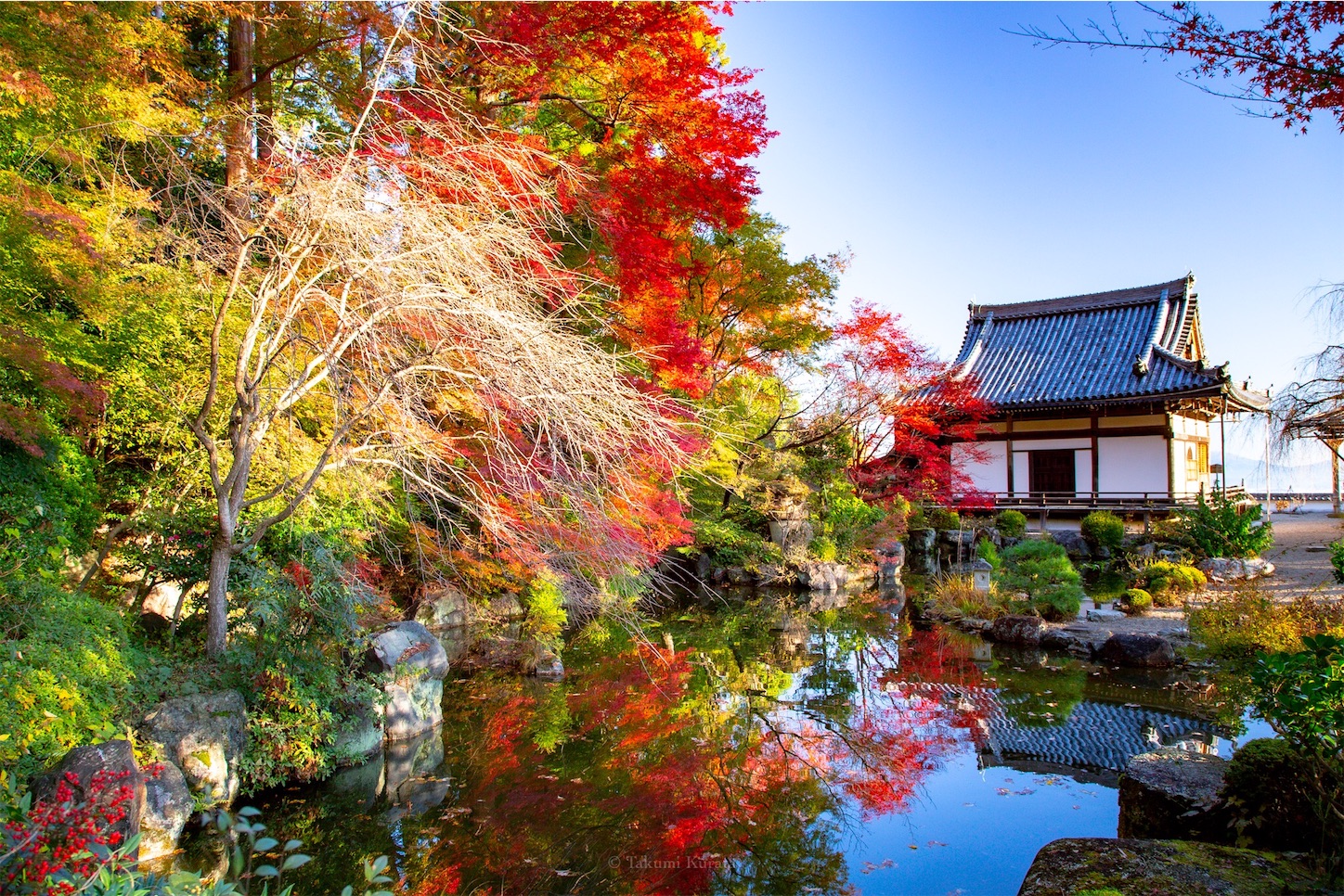 f:id:Shotetsuan:20191210082442j:plain f:id:Shotetsuan:20191210082442j:plain