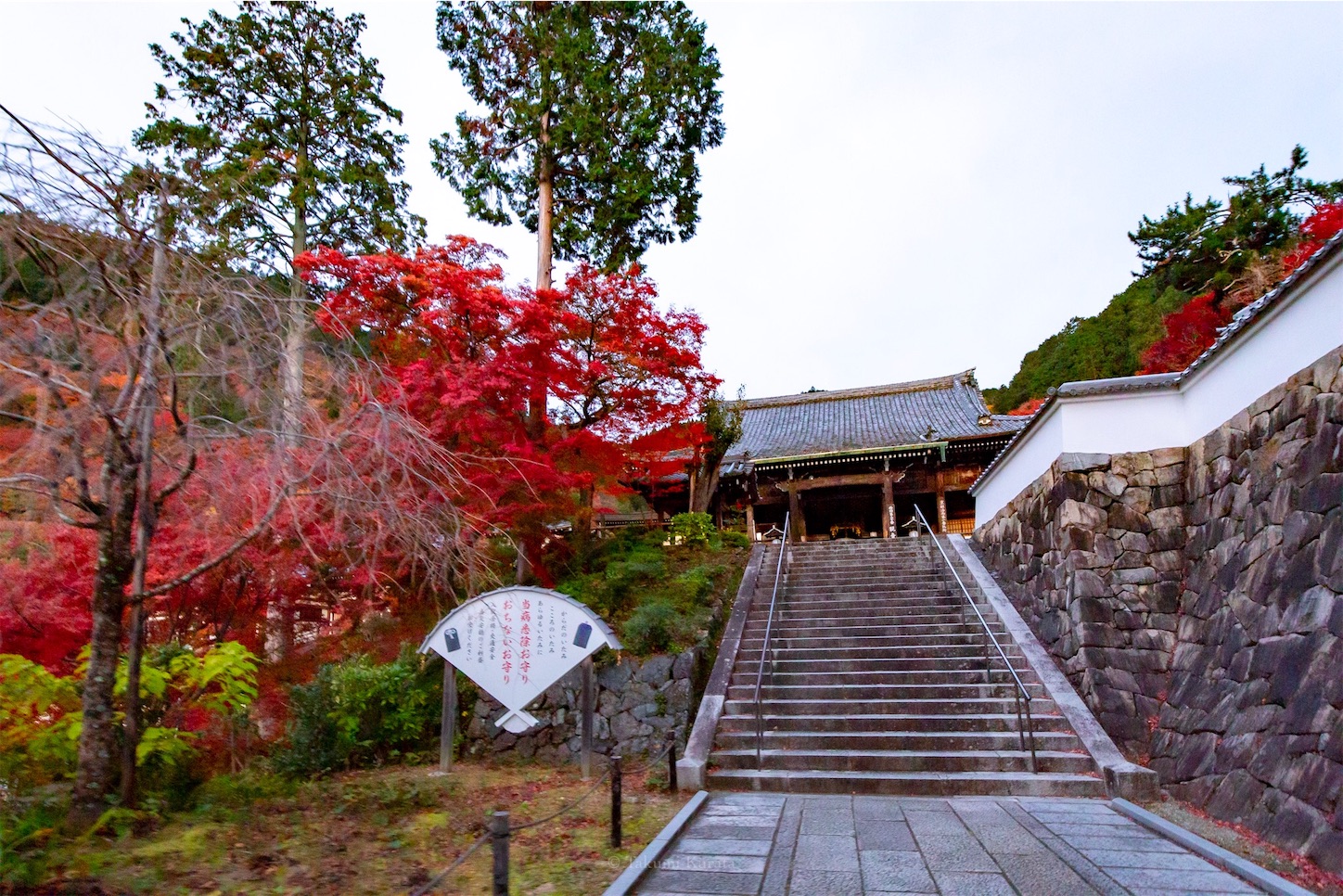 f:id:Shotetsuan:20191210082502j:plain f:id:Shotetsuan:20191210082502j:plain