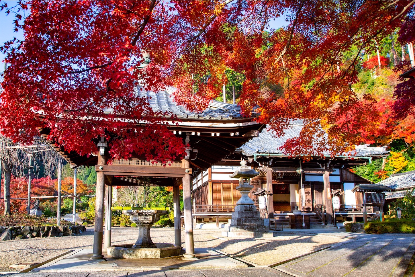 f:id:Shotetsuan:20191210082515j:plain f:id:Shotetsuan:20191210082515j:plain