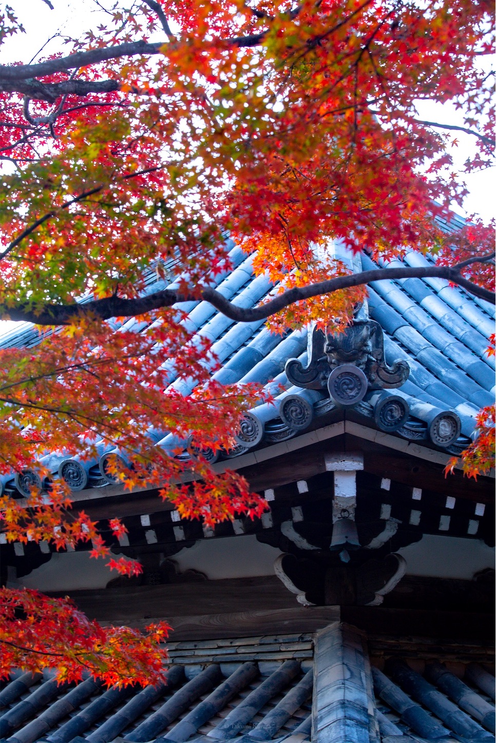 f:id:Shotetsuan:20191210082605j:plain f:id:Shotetsuan:20191210082605j:plain