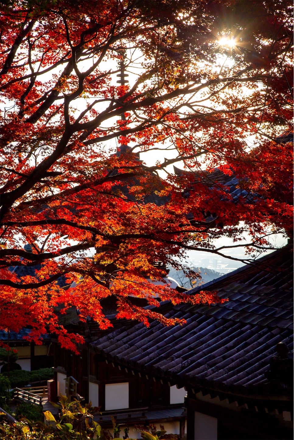 f:id:Shotetsuan:20191210082616j:plain f:id:Shotetsuan:20191210082616j:plain