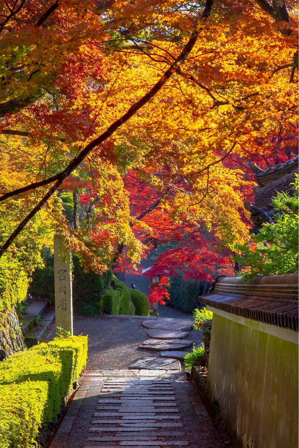 f:id:Shotetsuan:20191210082626j:plain f:id:Shotetsuan:20191210082626j:plain