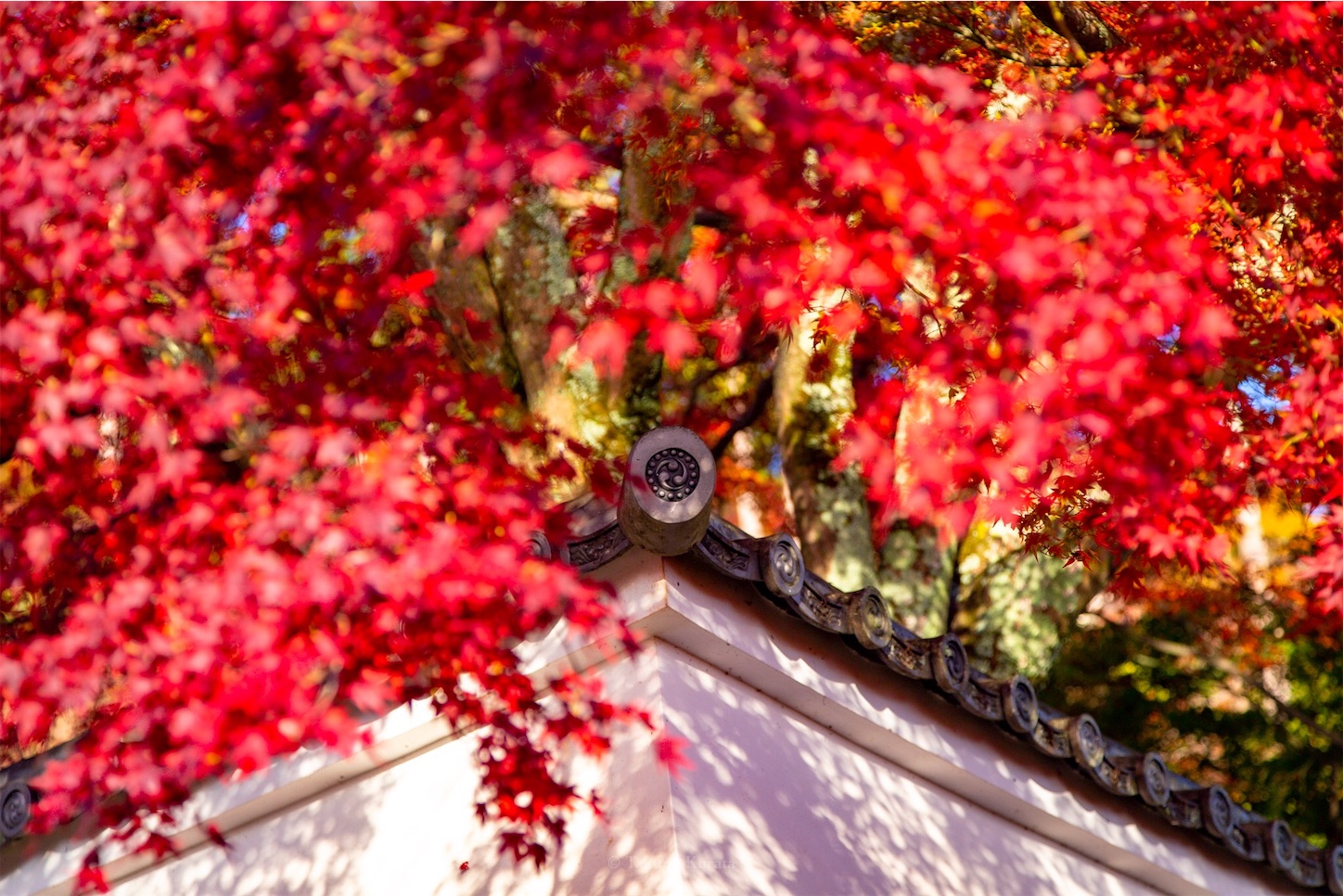 f:id:Shotetsuan:20191210082638j:plain f:id:Shotetsuan:20191210082638j:plain