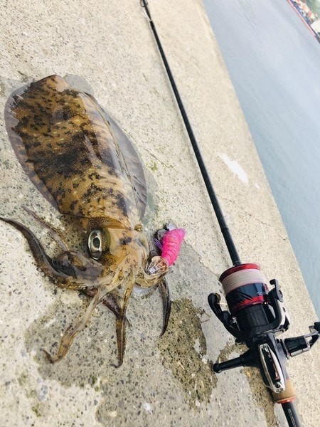 f:id:ShuN1:20190701220656j:plain f:id:ShuN1:20190701220656j:plain