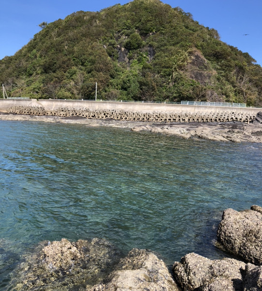 f:id:ShuN1:20190702233910j:plain f:id:ShuN1:20190702233910j:plain