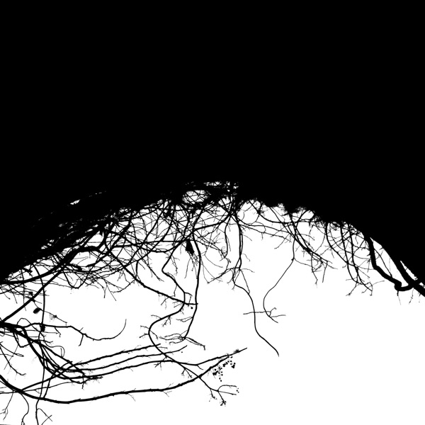 f:id:ShumAmb:20201218020002j:plain