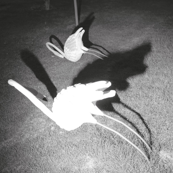 f:id:ShumAmb:20201218020137j:plain