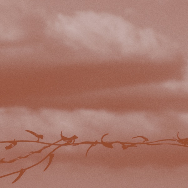 f:id:ShumAmb:20201218021158j:plain