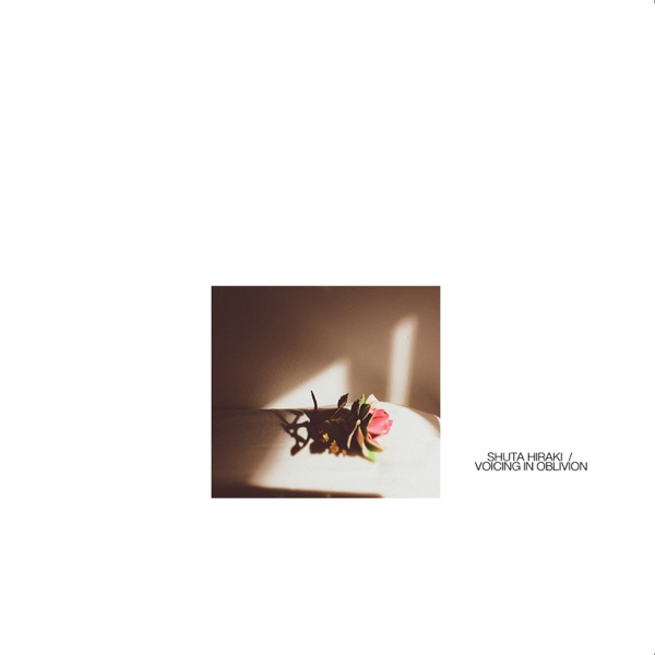 f:id:ShumAmb:20201218021649j:plain