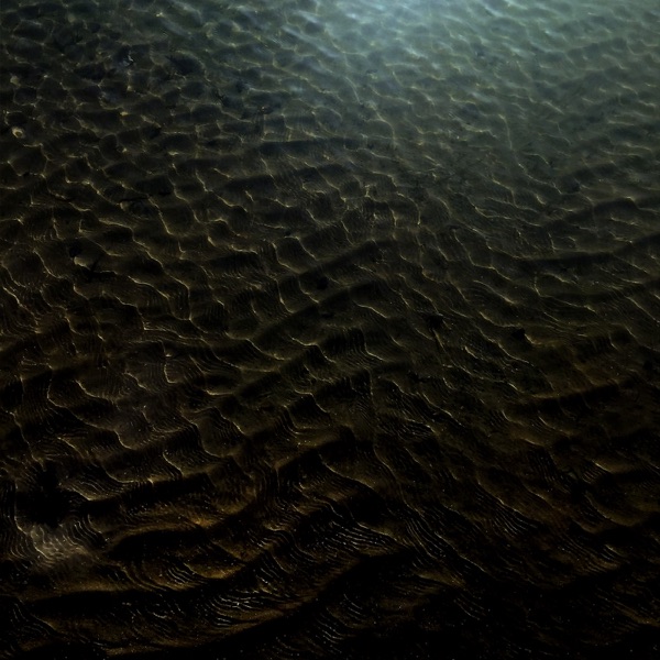 f:id:ShumAmb:20201218023618j:plain