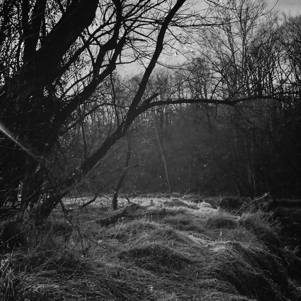 f:id:ShumAmb:20201218024002j:plain