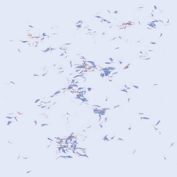 f:id:ShumAmb:20201218024339j:plain