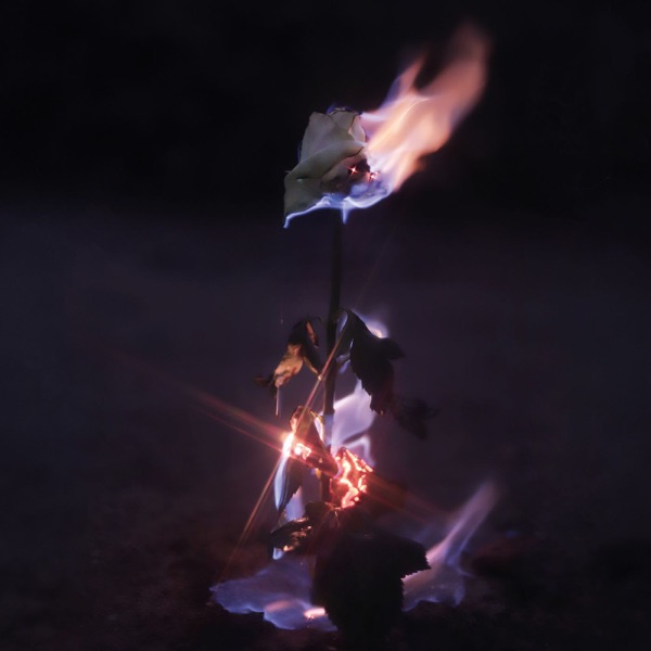 f:id:ShumAmb:20201218024359j:plain