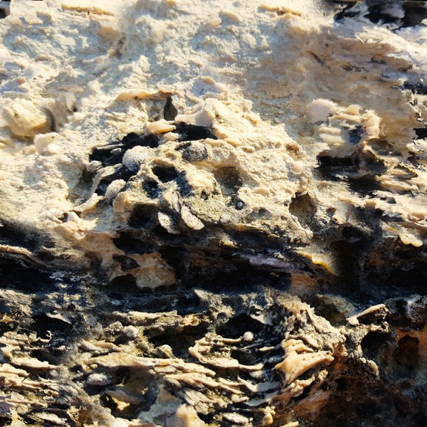 f:id:ShumAmb:20201218024642j:plain