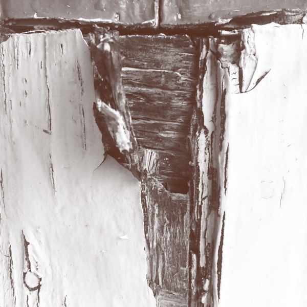 f:id:ShumAmb:20201218025038j:plain