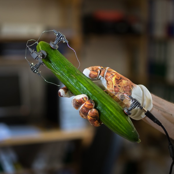 f:id:ShumAmb:20201218025549j:plain