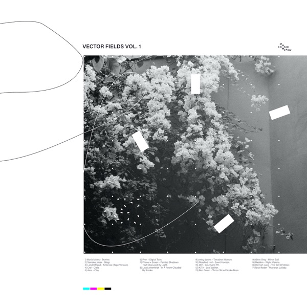 f:id:ShumAmb:20201218025637j:plain