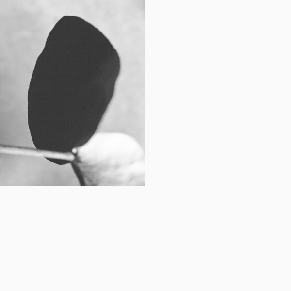 f:id:ShumAmb:20201219161344j:plain