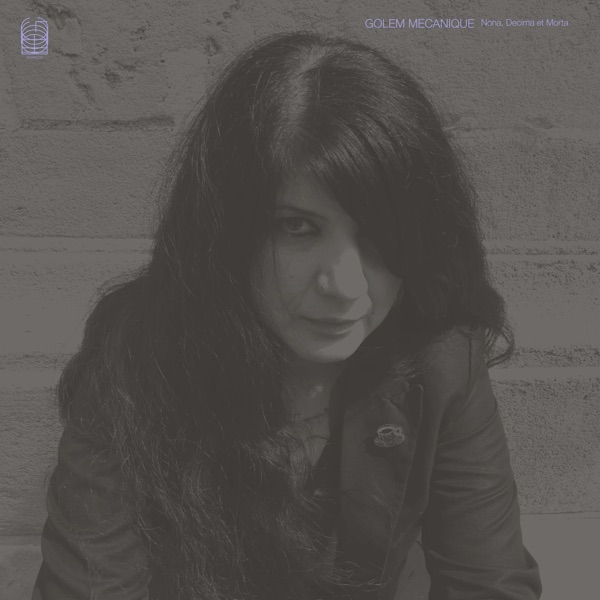 f:id:ShumAmb:20201219163723j:plain