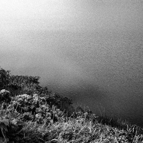 f:id:ShumAmb:20201219164117j:plain