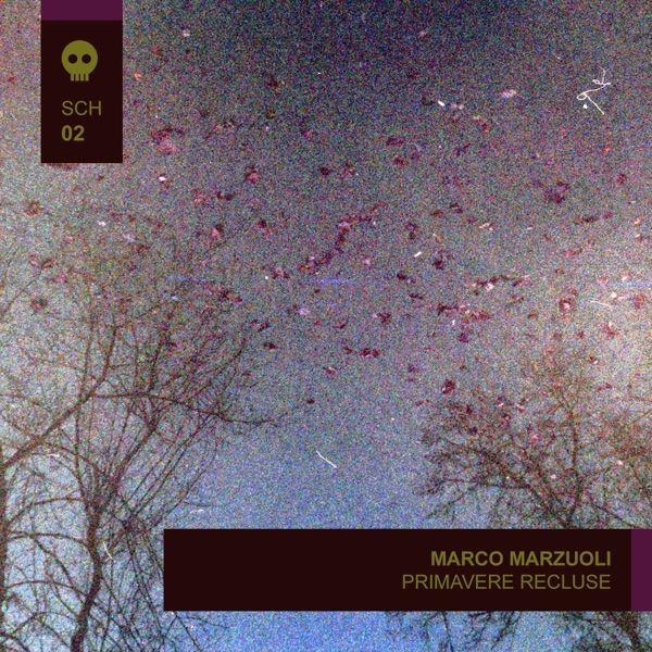 f:id:ShumAmb:20211225161848j:plain