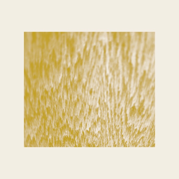 f:id:ShumAmb:20211225162145j:plain