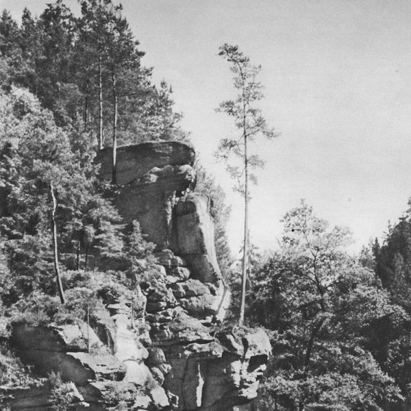 f:id:ShumAmb:20211225162230j:plain