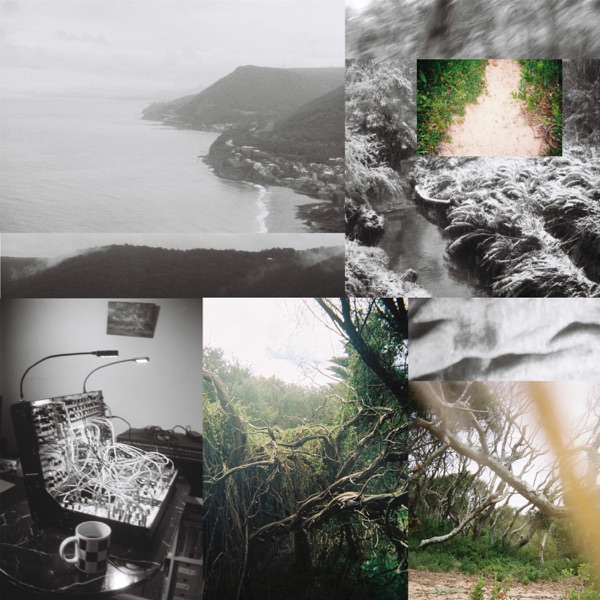 f:id:ShumAmb:20211225162444j:plain