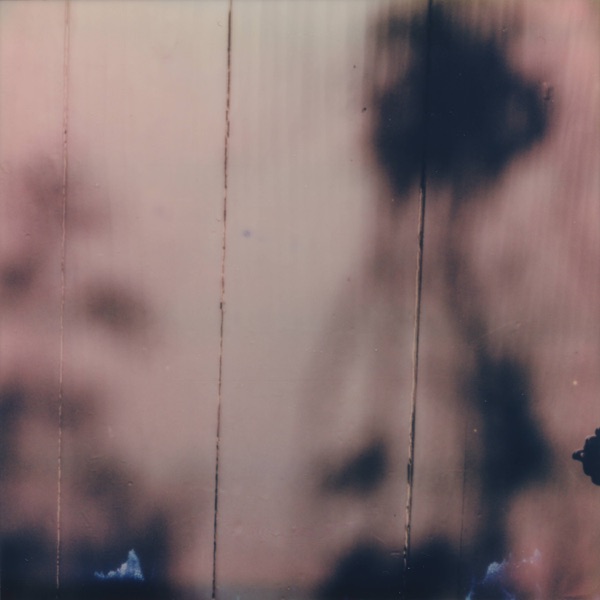 f:id:ShumAmb:20211225163329j:plain