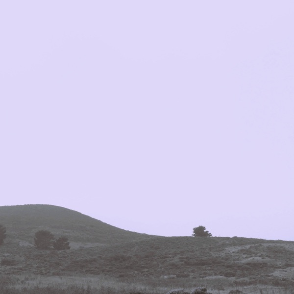 f:id:ShumAmb:20211225163812j:plain