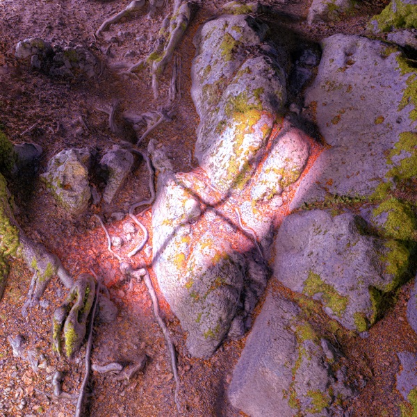 f:id:ShumAmb:20211225163828j:plain