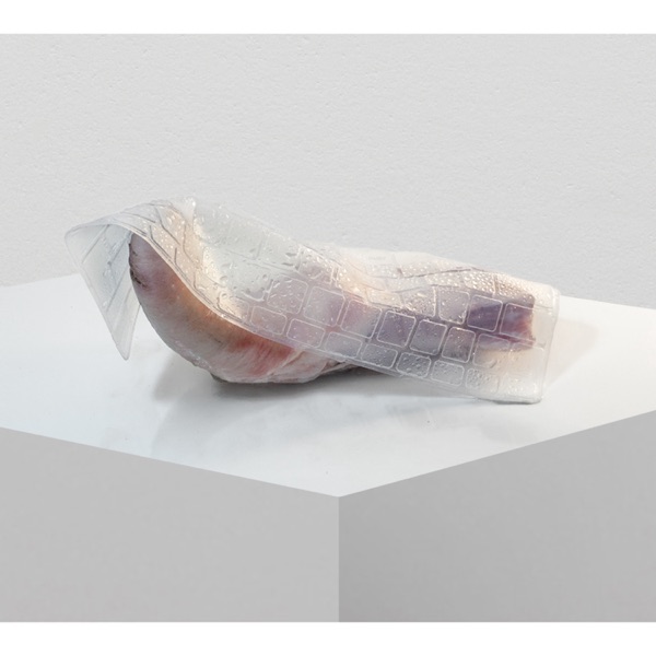 f:id:ShumAmb:20211225163918j:plain