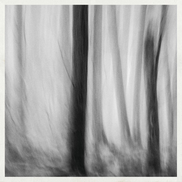 f:id:ShumAmb:20211225164045j:plain