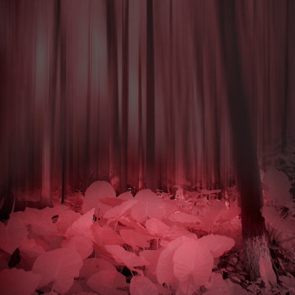 f:id:ShumAmb:20211225164928j:plain