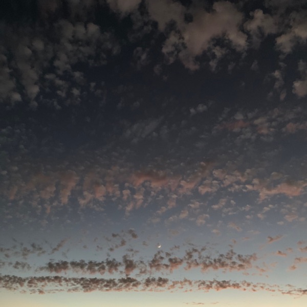 f:id:ShumAmb:20211225165627j:plain