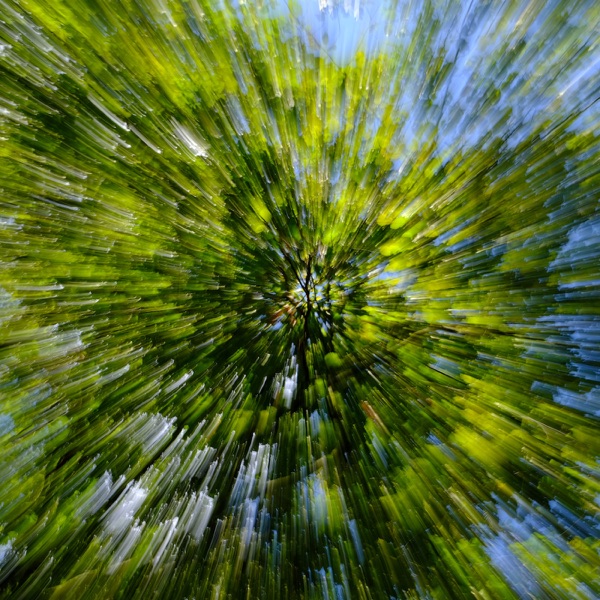 f:id:ShumAmb:20211225165700j:plain