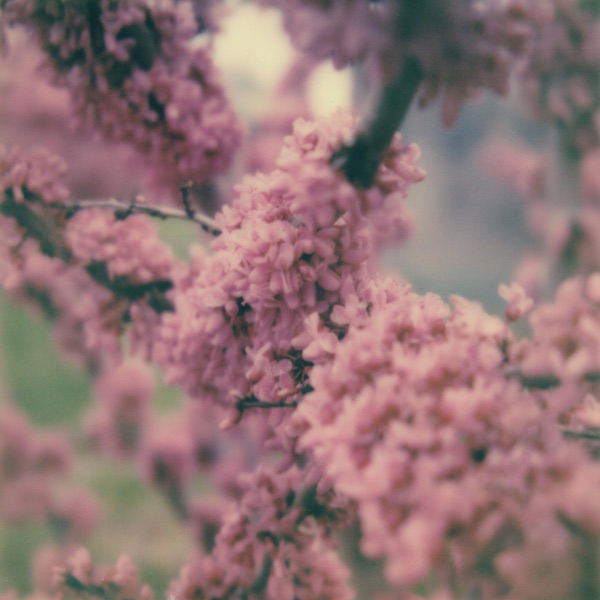 f:id:ShumAmb:20211225170159j:plain