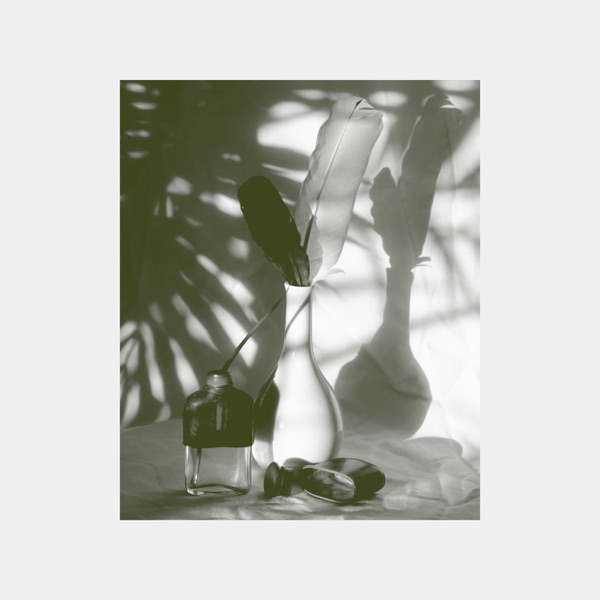 f:id:ShumAmb:20211225170302j:plain