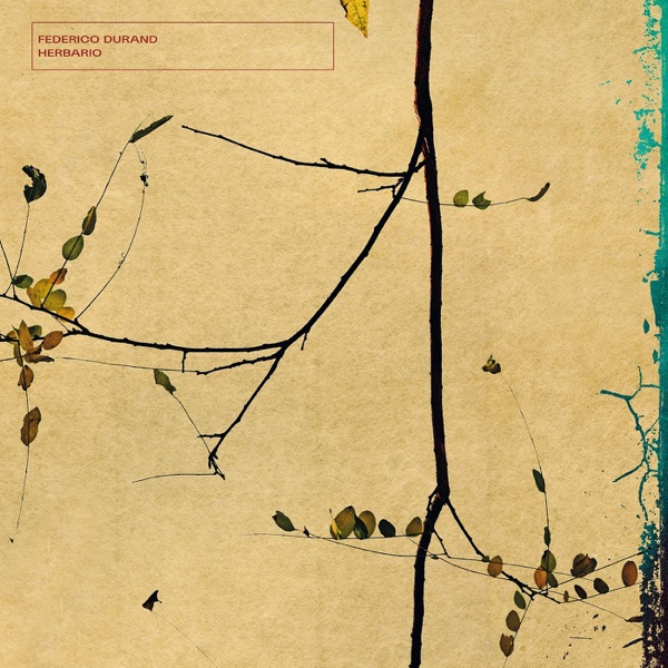 f:id:ShumAmb:20211225170345j:plain