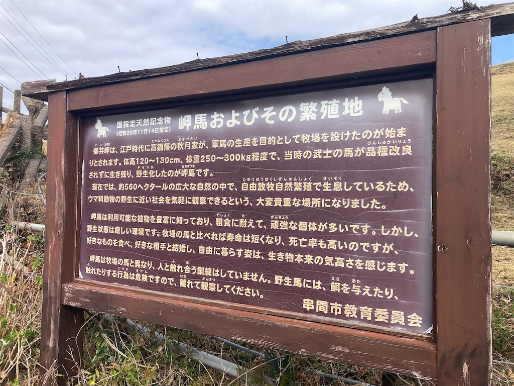 f:id:Shumai:20220321093355j:image