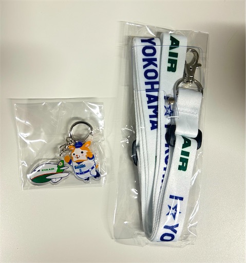 f:id:Shun19:20250216200744j:image