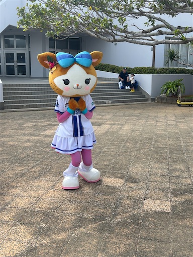 f:id:Shun19:20250216202635j:image