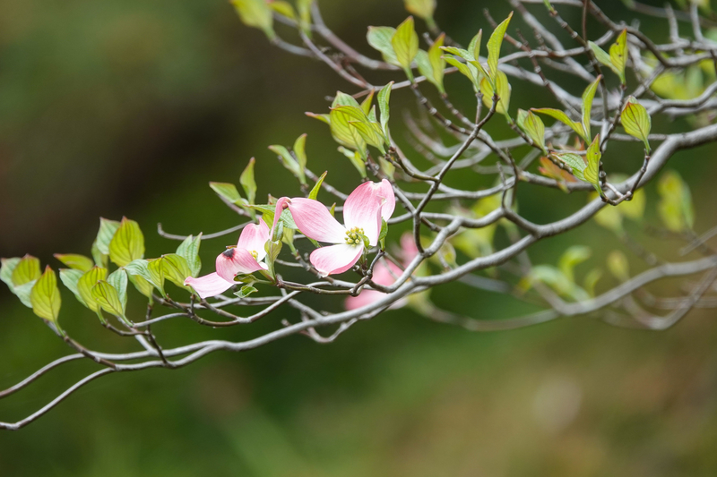 f:id:SiO79:20220417174541j:plain