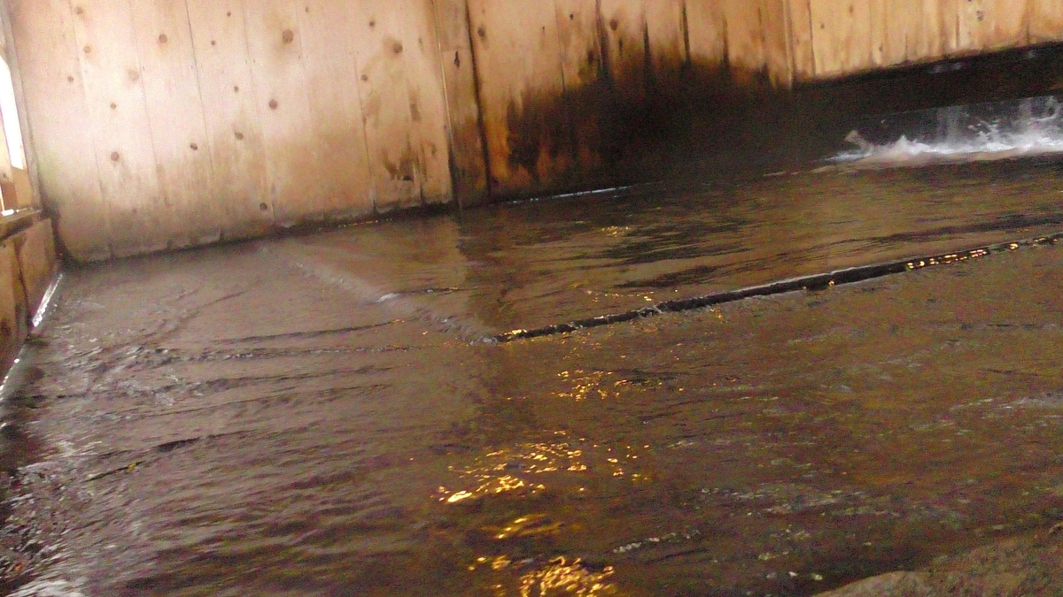 f:id:SiWaSu_CaT:20190924211317j:plain