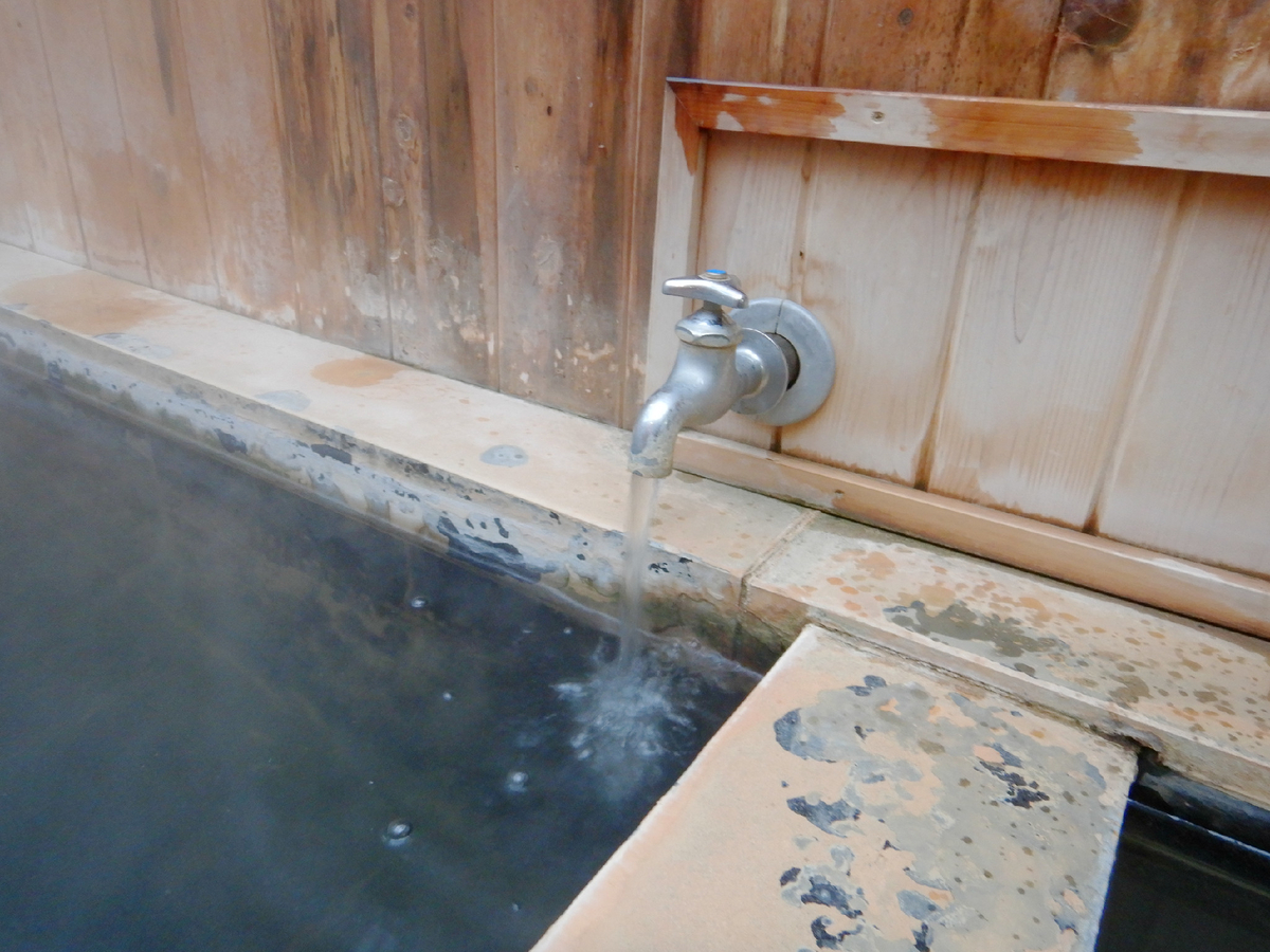 f:id:SiWaSu_CaT:20200226201050j:plain