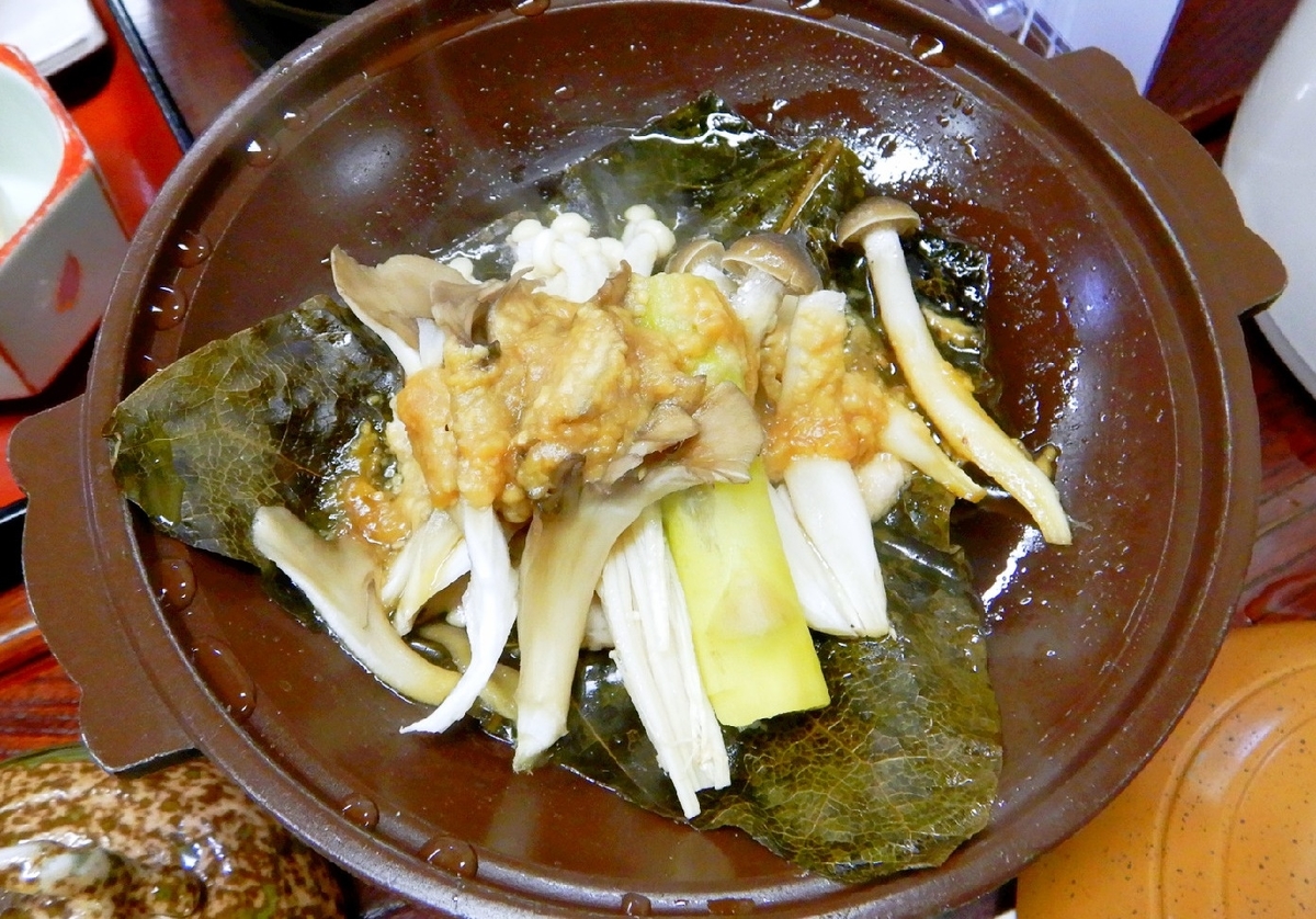 f:id:SiWaSu_CaT:20200226201614j:plain