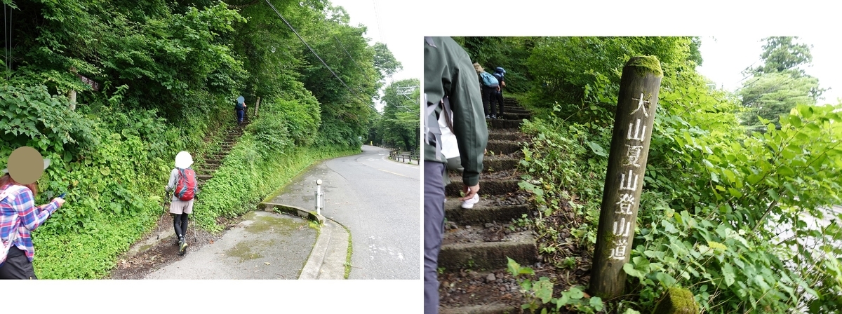 f:id:SiWaSu_CaT:20200923004140j:plain