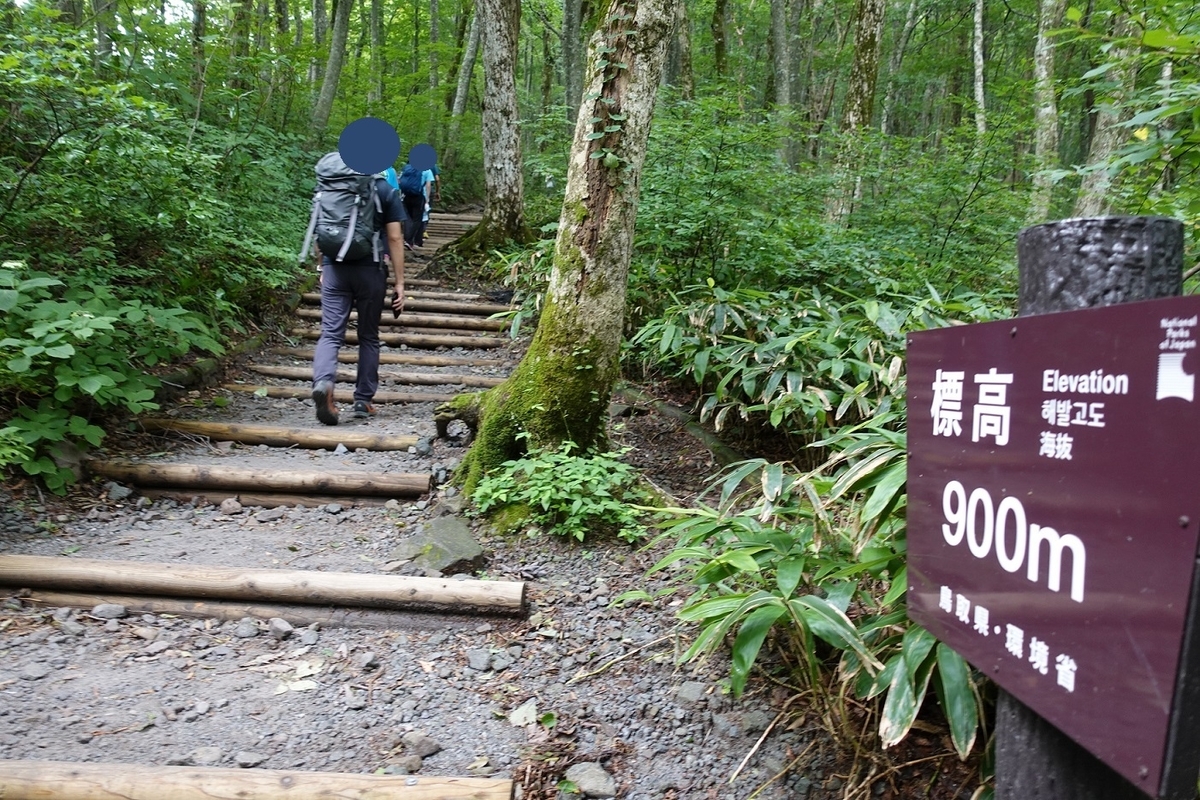 f:id:SiWaSu_CaT:20200923221306j:plain