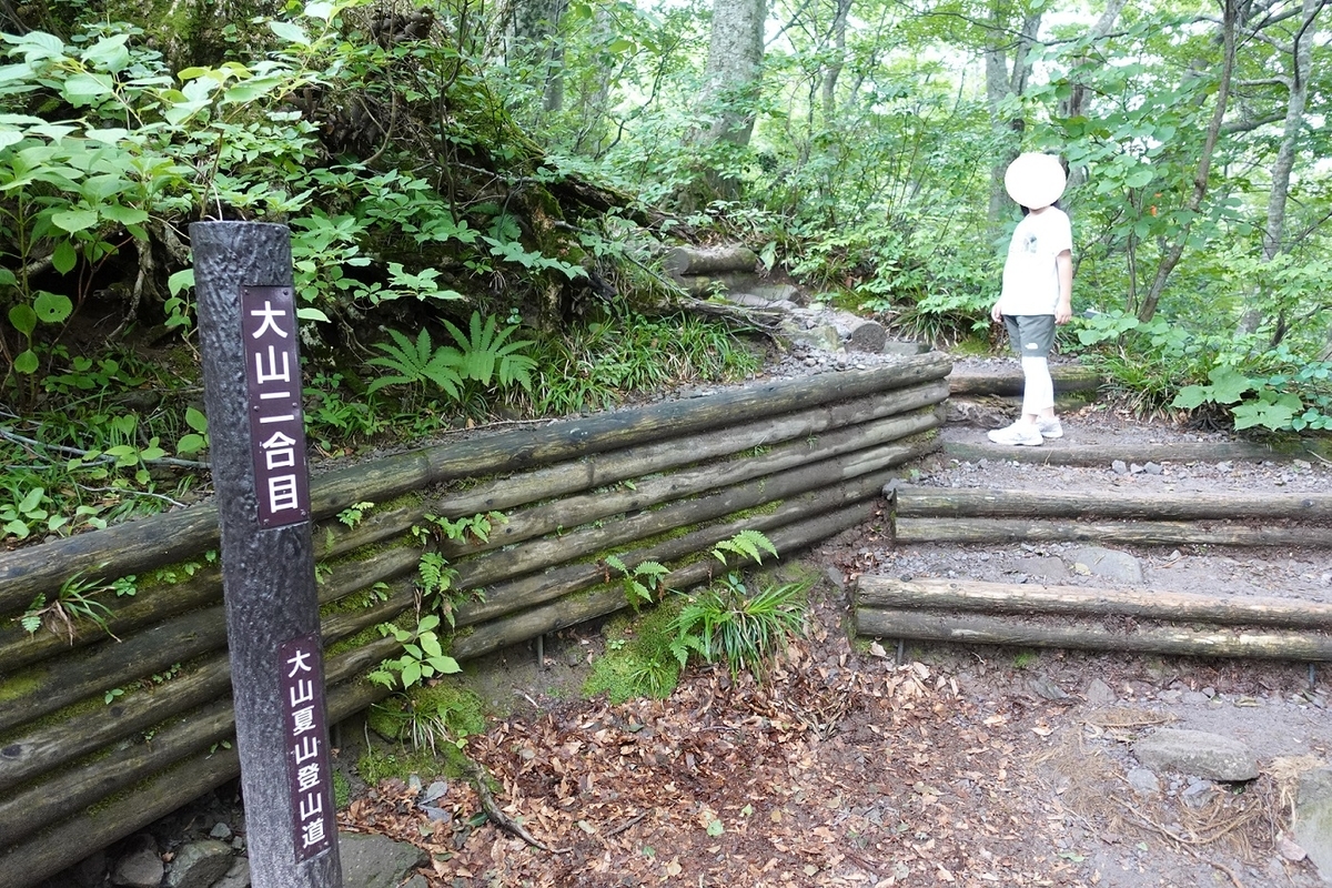 f:id:SiWaSu_CaT:20200923221310j:plain